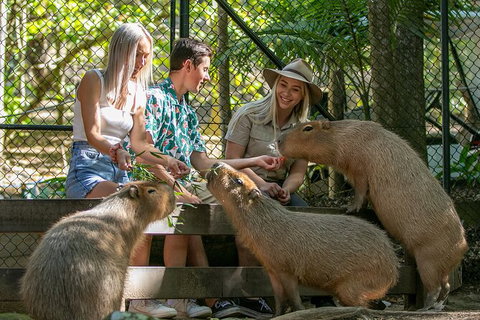 Currumbin Wildlife Sanctuary General Entry Ticket - Tourism Gold Coast 16