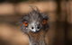 Currumbin Wildlife Sanctuary General Entry Ticket - thumb 10