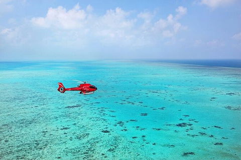Ultimate Great Barrier Reef And Rainforest 45-minute Helicopter Tour - Tourism Gold Coast 4