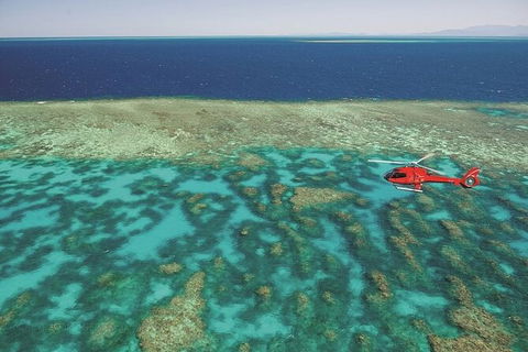 Ultimate Great Barrier Reef And Rainforest 45-minute Helicopter Tour - Tourism Gold Coast 2
