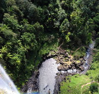 Full-day Springbrook National Park Tour from the Gold Coast - Tourism Gold Coast