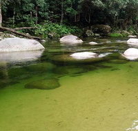 Afternoon Half-Day Daintree Rainforest and River Tour - Tourism Gold Coast