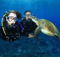 Gold Coast Try-Scuba Experience at Wave Break Island - Tourism Gold Coast