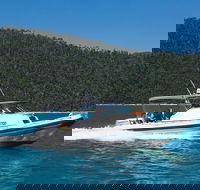 Private Standard Charter Experience in Whitsundays - Tourism Gold Coast