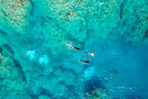 Private Standard Charter Experience In Whitsundays - Tourism Gold Coast 5