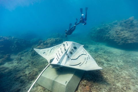 Private Standard Charter Experience In Whitsundays - Tourism Gold Coast 7