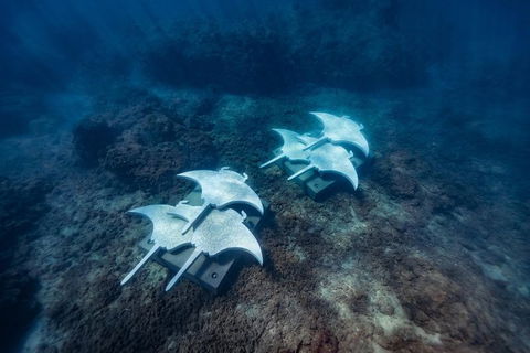 Private Standard Charter Experience In Whitsundays - Tourism Gold Coast 6