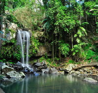 Gold Coast 4WD Eco Outback Tracks Tour - Tourism Gold Coast