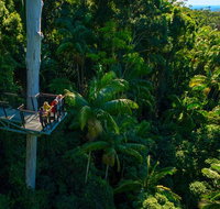 The Best of Tamborine Mountain from the Gold Coast - Tourism Gold Coast