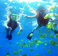 Guided Snorkel with Fish Tour at Wavebreak Island Gold Coast - Tourism Gold Coast
