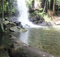 The Gold ExperiencePrivate Day Tour In Lamington National Park or Mt Tambourine - Tourism Gold Coast