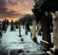 Southport Cemetery Paranormal Activity Tour QUEENSLAND - Tourism Gold Coast