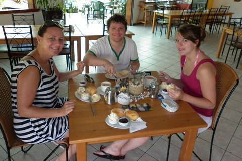Morning Half Day Tour - Tourism Gold Coast 5