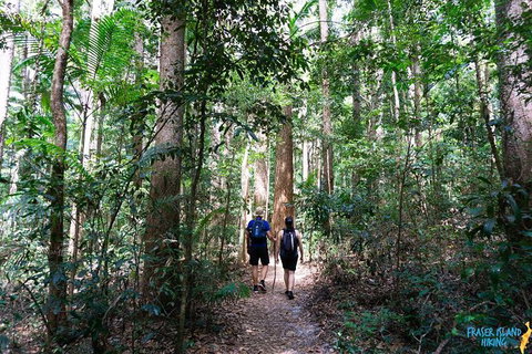 Pack-free Camping: Blue Lakes Eco Hike - 3 Days - Tourism Gold Coast 1