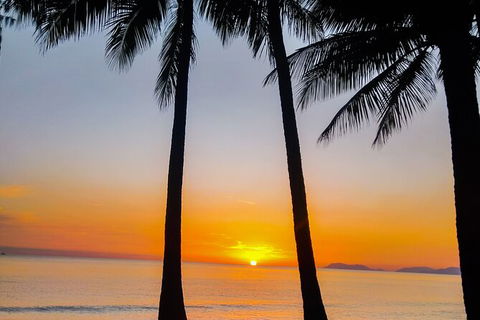 Airport Transfers Between Cairns Airport And Palm Cove - Tourism Gold Coast 4