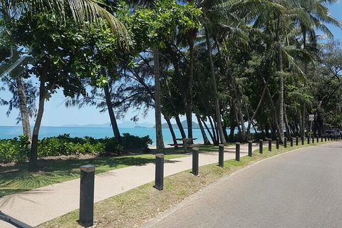 Airport Transfers Between Cairns Airport And Palm Cove - Tourism Gold Coast 6