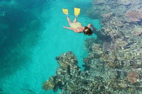 Great Barrier Reef Luxury Expedition Cruise Cabin Booking 7 Days 6 Night - Tourism Gold Coast 8