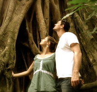 Daintree and Cape Tribulation Full Day Guided Tour - Tourism Gold Coast