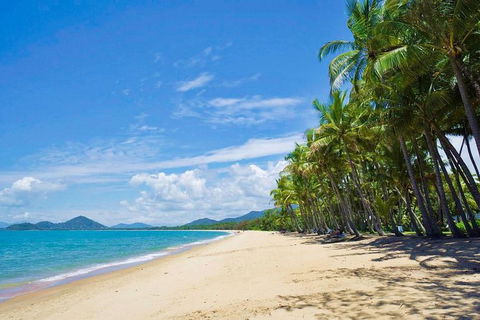 Airport Transfer - Cairns Airport To Palm Cove, Kewarra & Trinity Beaches - Tourism Gold Coast 4
