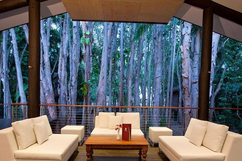 Airport Transfer - Cairns Airport To Palm Cove, Kewarra & Trinity Beaches - Tourism Gold Coast 2