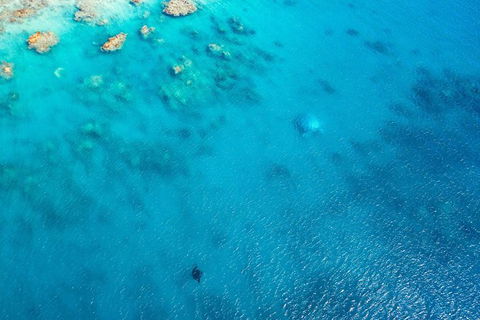 Premium Private Charter - Tourism Gold Coast 5