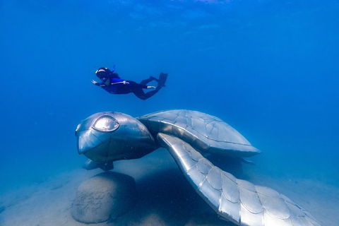 Premium Private Charter - Tourism Gold Coast 9