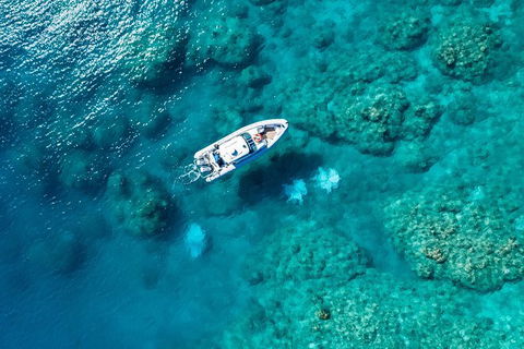 Premium Private Charter - Tourism Gold Coast 0