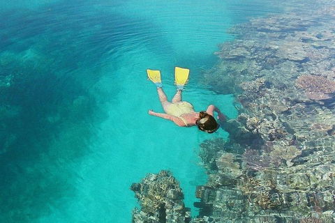 Great Barrier Reef Private Expedition Cruise (min 4 Day Max 8 Guests) - Tourism Gold Coast 6