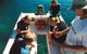 Great Barrier Reef Private Expedition Cruise (min 4 Day Max 8 Guests) - thumb 1