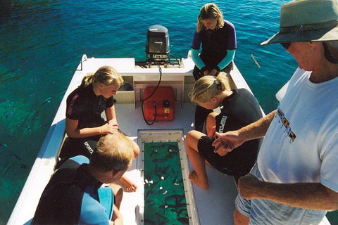 Great Barrier Reef Private Expedition Cruise (min 4 Day Max 8 Guests) - Tourism Gold Coast 1