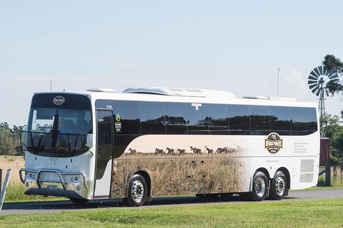 Winton Discovery Day Tour - Tourism Gold Coast 4