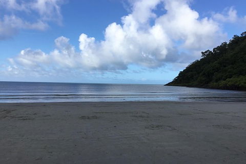 Daintree Luxury Limousine Tour - Full Day - Tourism Gold Coast 6