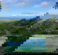 Daintree Luxury Limousine Tour - Full Day - Tourism Gold Coast