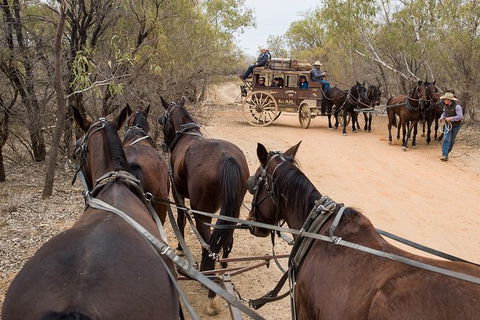 Cobb And Co Stagecoach Experience - Tourism Gold Coast 1