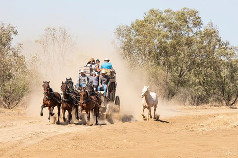 Cobb And Co Stagecoach Experience - Tourism Gold Coast 0