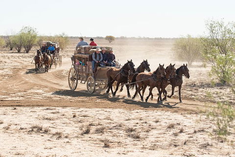 Cobb And Co Stagecoach Experience - Tourism Gold Coast 4