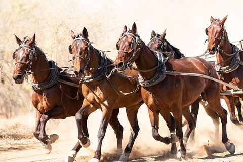 Cobb And Co Stagecoach Experience - Tourism Gold Coast 2