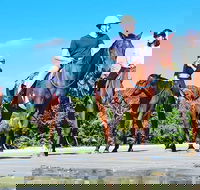 Mid-Morning Beach Horse Ride in Cape Tribulation with Pick Up - Tourism Gold Coast