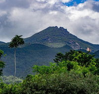 Port Douglas Daintree National Park Boutique Full-Day Tour - Tourism Gold Coast
