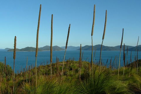 7-Day Private Sea Kayaking In Whitsundays - Tourism Gold Coast 8