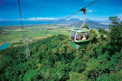 Day Tour To Kuranda, Rainforest And Port Douglas With Flight - Gold Coast 5