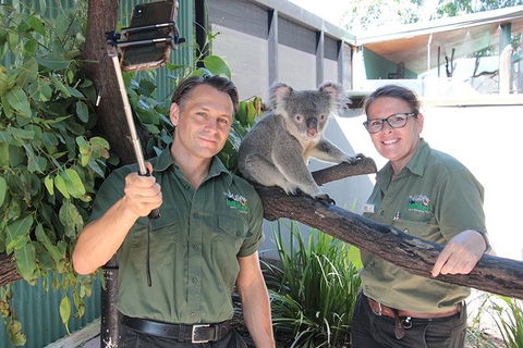Virtual Interactive Australian Wildlife Tour With Private Guide-Wildlife Habitat - Tourism Gold Coast 4