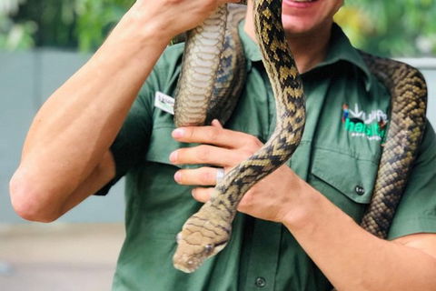 Virtual Interactive Australian Wildlife Tour With Private Guide-Wildlife Habitat - Tourism Gold Coast 3