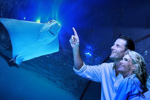 Cairns Aquarium Tour By Twilight With Drink And Appetiser - Tourism Gold Coast 0
