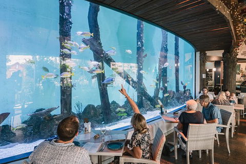 Cairns Aquarium Tour By Twilight With Drink And Appetiser - Tourism Gold Coast 1