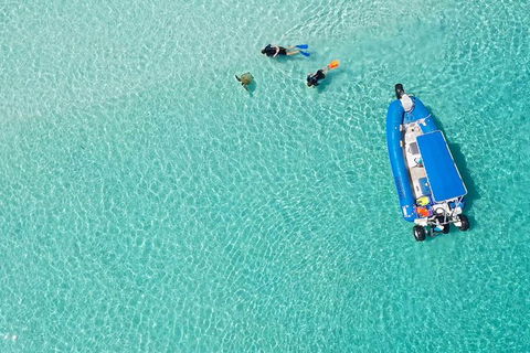 Remote Fraser Island & Whale Experience - Tourism Gold Coast 0