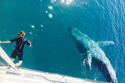 Remote Fraser Island & Whale Experience - Tourism Gold Coast 4