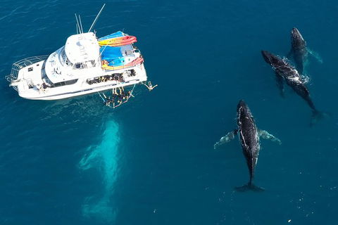 Remote Fraser Island & Whale Experience - Tourism Gold Coast 3