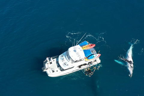 Remote Fraser Island & Whale Experience - Tourism Gold Coast 1