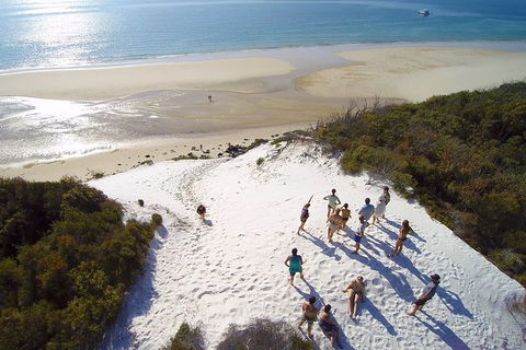 Remote Fraser Island & Whale Experience - Tourism Gold Coast 2
